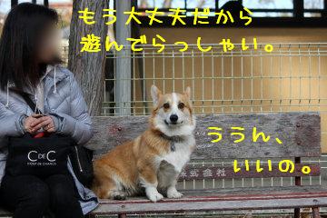 遊ぶ気喪失