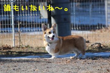 ラン到着。