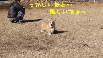 悩む迷カメラマン