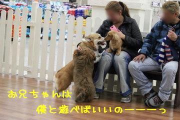 僕と遊んで~