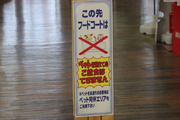 ダメだって~