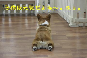 麦さんも休憩