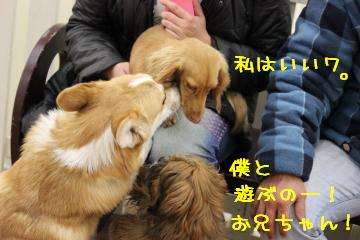 3角関係