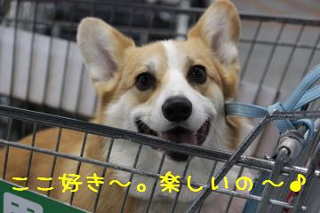 ここ楽しいんだよ♪
