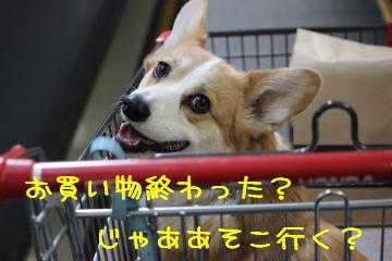 あそこ行く?