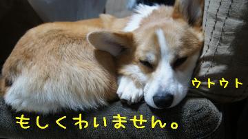 ん???