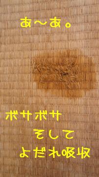 畳が・・・・