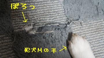 マットが・・・・