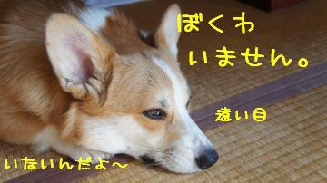 気配消したつもり