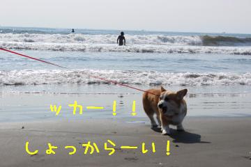 海水しょっぺー