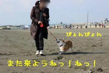 また来たい?