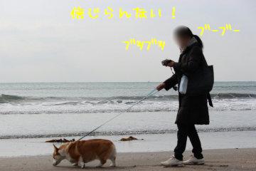 私は古いカメラ