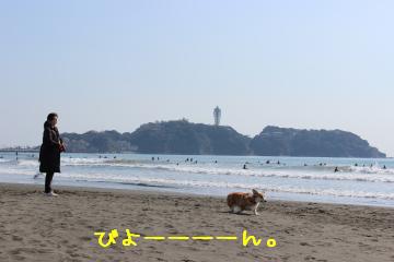 びよーんリードで