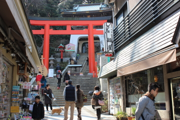 お店いっぱい