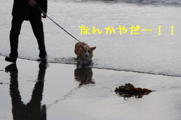 あんまし好きくない