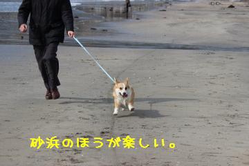海<砂浜