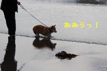 波にびっくり