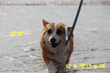 一応入った