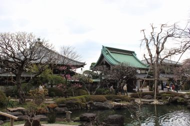 長谷寺境内1