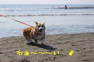 楽しくなってきた☆