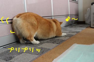 麦っちり