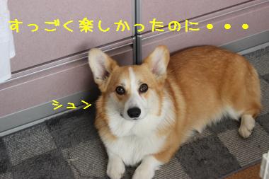 寂しげ