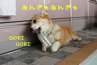 お楽しみちぅ