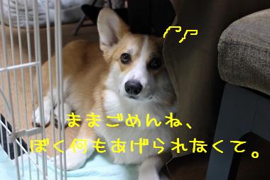 麦さん・・・・