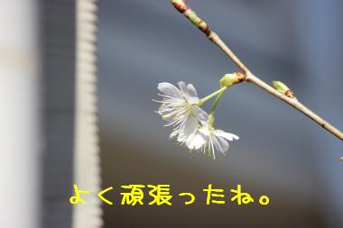 よかった♪