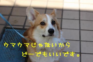 あなたはそうでしょうね・・・