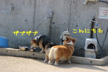ご挨拶