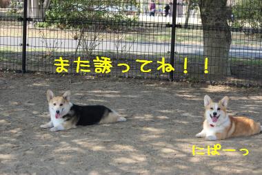 その距離はなに?