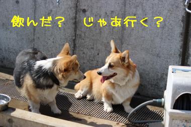 見つめあう二人