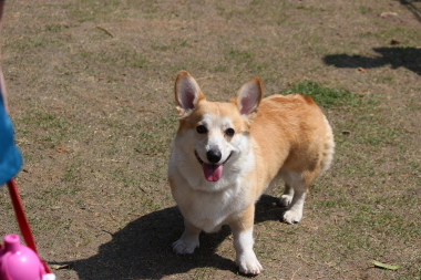 レオちゃん
