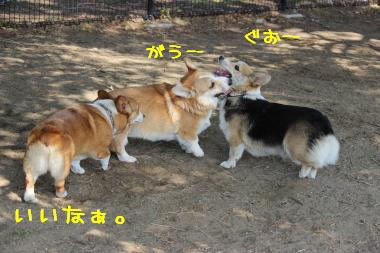 いいなぁ。