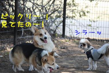 見てたのねー!