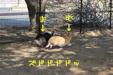 並走コギ