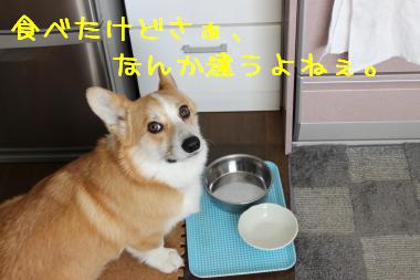 ちょっと違うよねぇ。