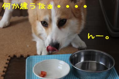 食べるけどね。