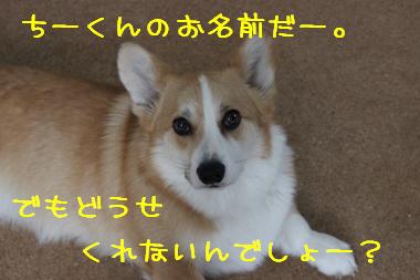 どうせくんないんでしょ。