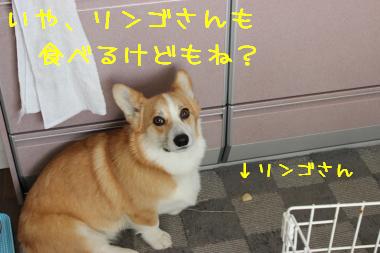 食べるけどね?