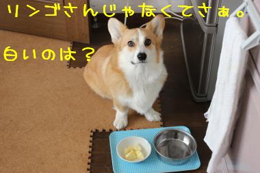 リンゴさんの前にさぁ。
