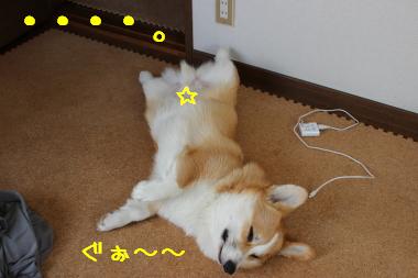 なれのはて。