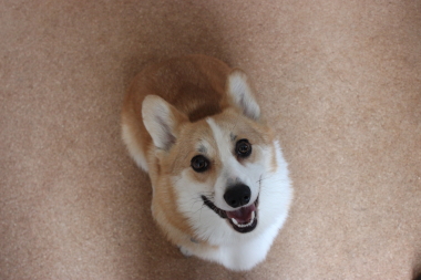 育つといいね。