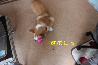 げっと。