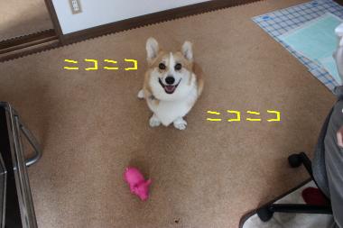 笑顔で待つ。