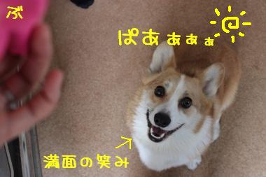 嬉しいらしい。