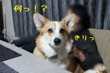 おやつ