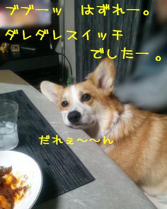 はずれー