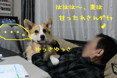 間違った愛情表現